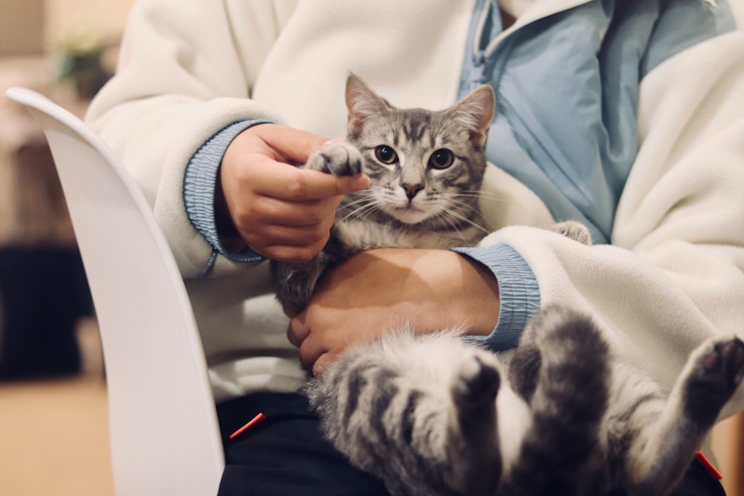 How Can I Prevent Pets From Getting Into Medications?